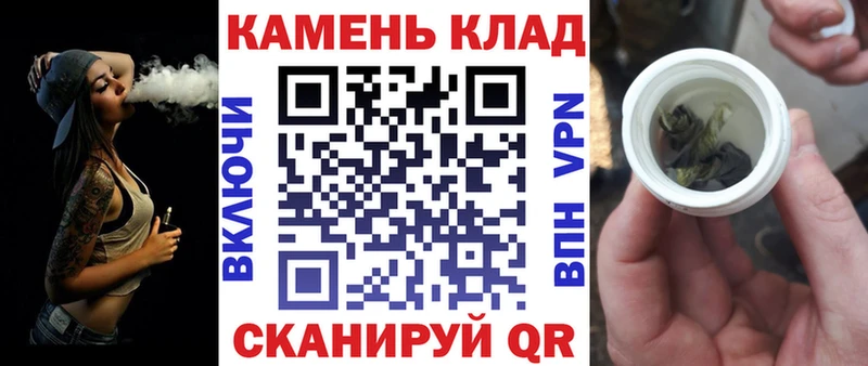 ГАШ гарик Новая Ладога