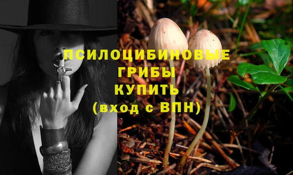таблы Алексин
