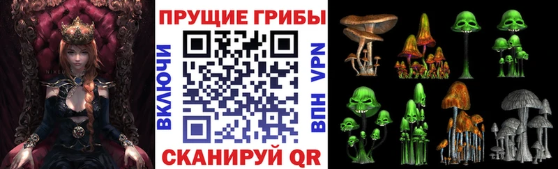 что такое   Новая Ладога  Псилоцибиновые грибы Magic Shrooms 