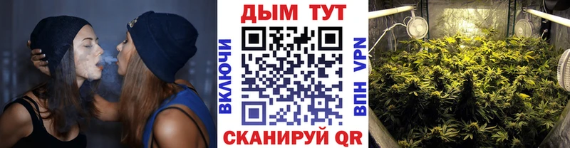Конопля Ganja  Новая Ладога 